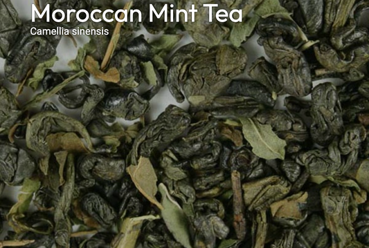 Moroccan Mint